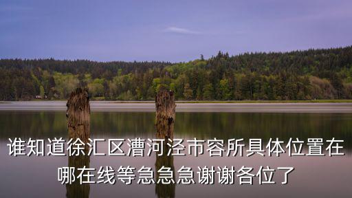 誰知道徐匯區漕河涇市容所具體位置在哪在線等急急急謝謝各位了