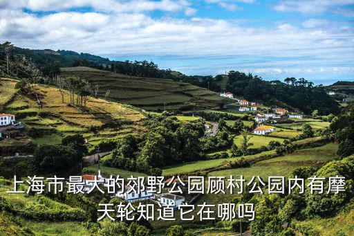上海市最大的郊野公園顧村公園內有摩天輪知道它在哪嗎