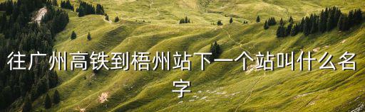 往廣州高鐵到梧州站下一個站叫什么名字