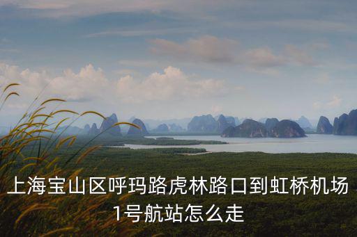 上海寶山區呼瑪路虎林路口到虹橋機場1號航站怎么走