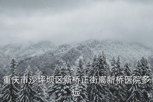 重慶市沙坪壩區(qū)新橋正街200，從大學(xué)城重慶市沙坪壩區(qū)天星橋正街