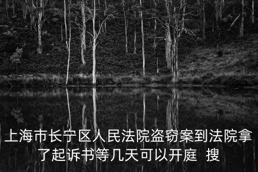上海市長寧區人民法院盜竊案到法院拿了起訴書等幾天可以開庭  搜