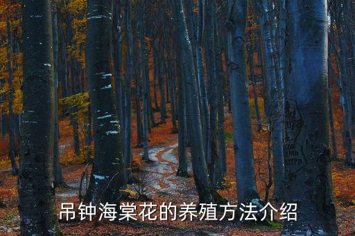 吊鐘海棠花的養殖方法介紹