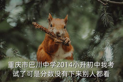重慶市巴川中學小升初試題，重慶市巴川中學2014小升初中我考試了可是分數沒有下來別人都看