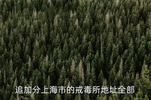 追加分上海市的戒毒所地址全部