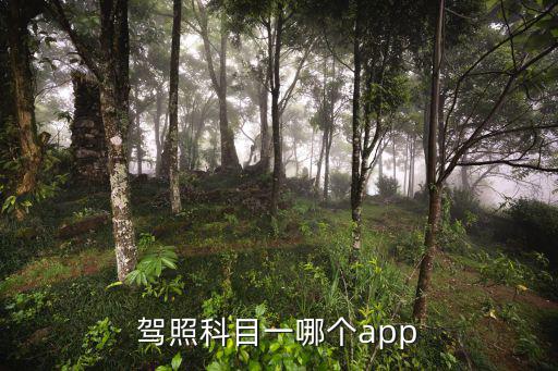 駕照科目一哪個app