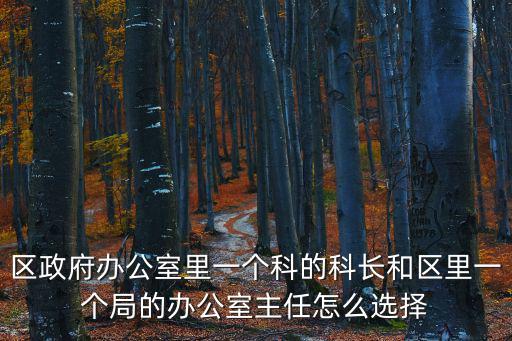 區政府辦公室里一個科的科長和區里一個局的辦公室主任怎么選擇