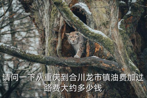 請問一下從重慶到合川龍市鎮油費加過路費大約多少錢