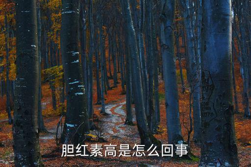 膽紅素高是怎么回事