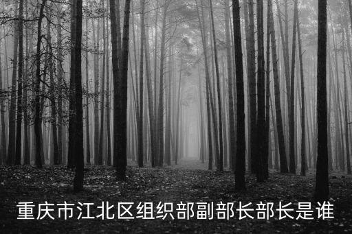 重慶市江北區組織部副部長部長是誰