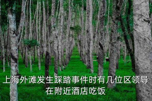 上海外灘發(fā)生踩踏事件時(shí)有幾位區(qū)領(lǐng)導(dǎo)在附近酒店吃飯