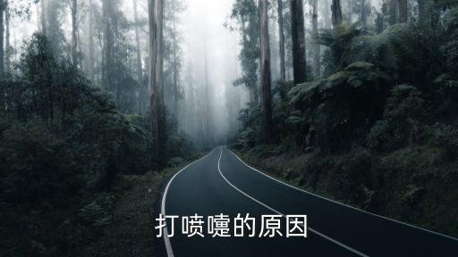  打噴嚏的原因