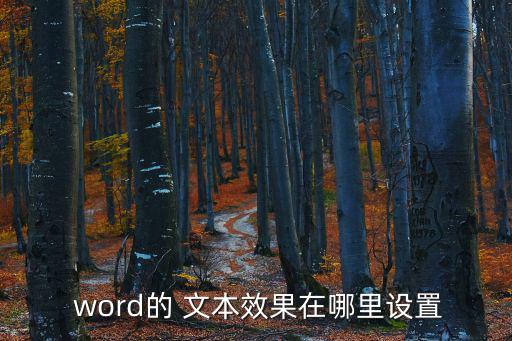 word的 文本效果在哪里設置