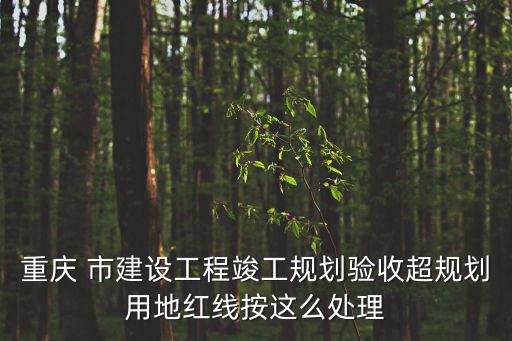 重慶 市建設工程竣工規(guī)劃驗收超規(guī)劃用地紅線按這么處理