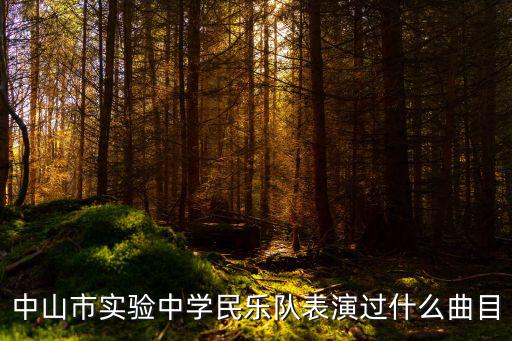 中山市實驗中學民樂隊表演過什么曲目