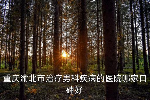 重慶渝北市治療男科疾病的醫(yī)院哪家口碑好