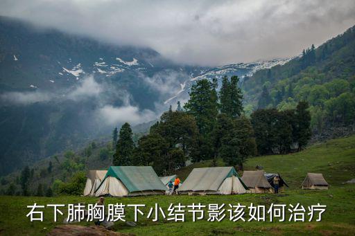 上海市肺科醫院 放射科 孫武，右下肺胸膜下小結節影該如何治療