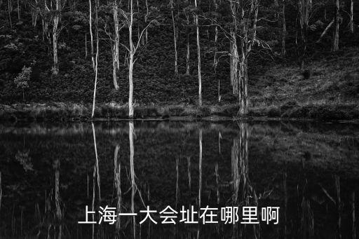 上海一大會(huì)址在哪里啊
