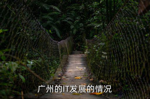 廣州的IT發展的情況