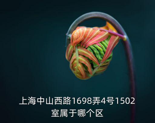 上海市徐匯區中山西路1698弄，上海小米之家的地址在哪里