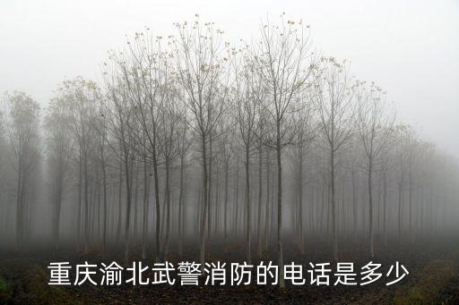 重慶渝北武警消防的電話是多少
