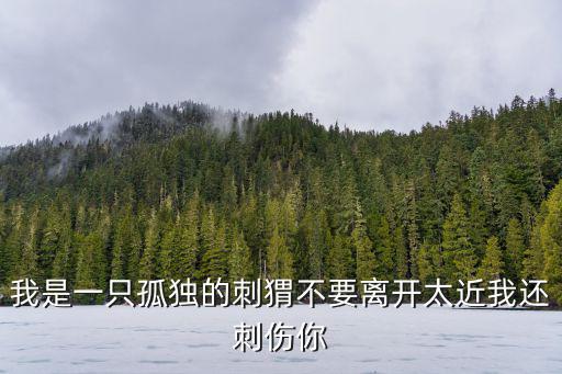 我是一只孤獨的刺猬不要離開太近我還刺傷你