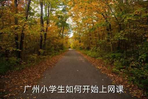 廣州小學生如何開始上網課