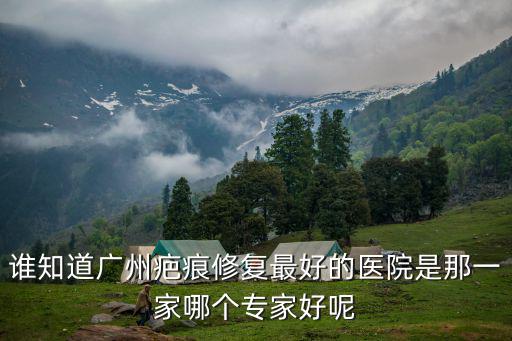 誰知道廣州疤痕修復最好的醫院是那一家哪個專家好呢