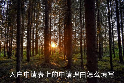 申請理由，入戶申請表上的申請理由怎么填寫
