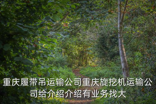 重慶履帶吊運輸公司重慶旋挖機運輸公司給介紹介紹有業務找大