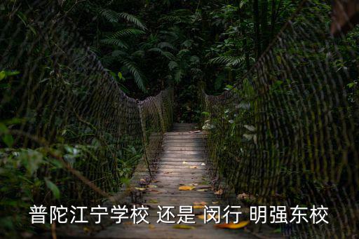 普陀江寧學(xué)校 還是 閔行 明強(qiáng)東校