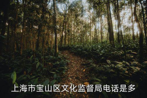 上海市影視廣播管理局官網，上海市寶山區文化監督局電話是多