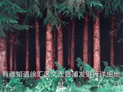 上海市徐匯文定路211弄，有誰知道徐匯區文定路浦發銀行詳細地址