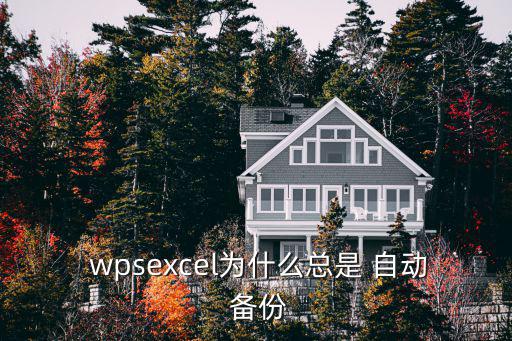 wps自動(dòng)備份,wps怎么關(guān)閉自動(dòng)備份