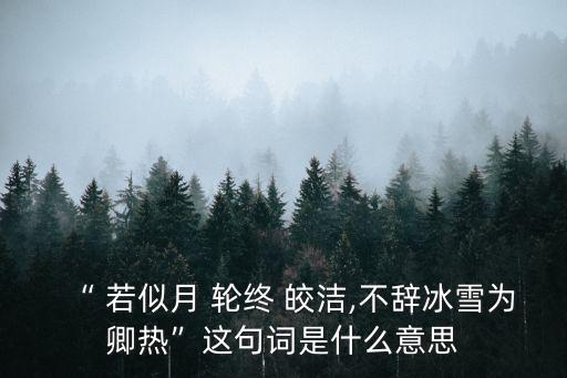 若似月輪終皎潔,不顧冰雪使妻熱荀玉倩的典故