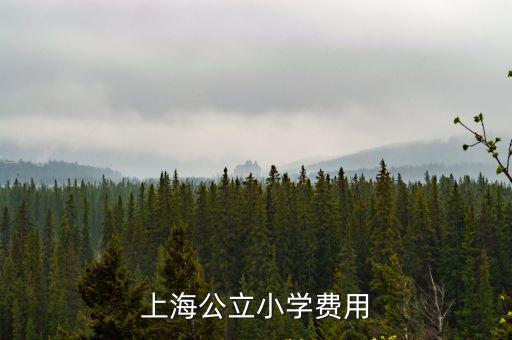 上海公立小學(xué)費(fèi)用