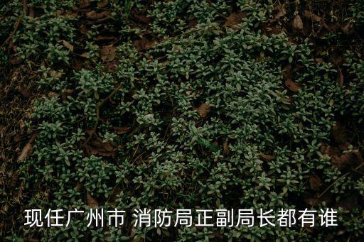 廣州消防支隊任職公告，現任廣州市 消防局正副局長都有誰
