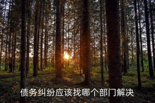 債務糾紛應該找哪個部門解決