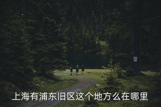 上海有浦東舊區(qū)這個地方么在哪里