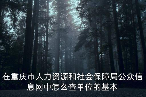 在重慶市人力資源和社會保障局公眾信息網中怎么查單位的基本