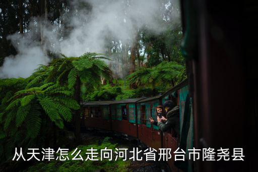 從天津怎么走向河北省邢臺市隆堯縣