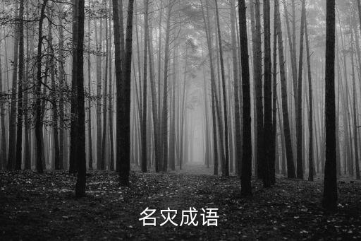 災(zāi)的成語，填字成語災(zāi)難