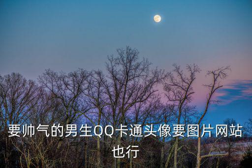 要帥氣的男生QQ卡通頭像要圖片網站也行