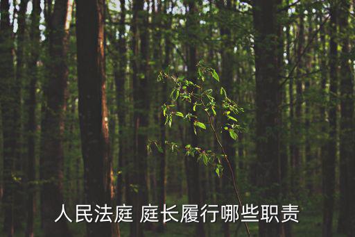 庭長,三級高級法律干事到一級法官中級人民法院設三審判庭