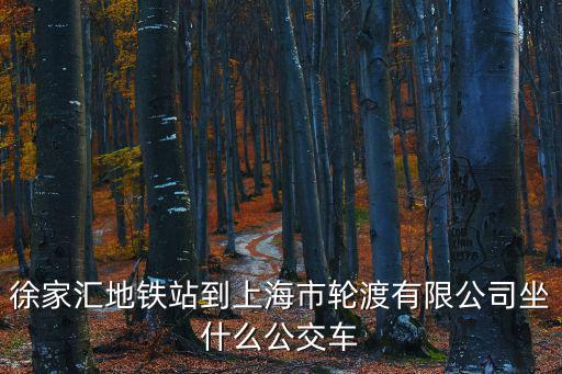 徐家匯地鐵站到上海市輪渡有限公司坐什么公交車