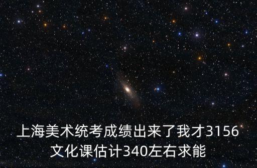上海美術統考成績出來了我才3156文化課估計340左右求能