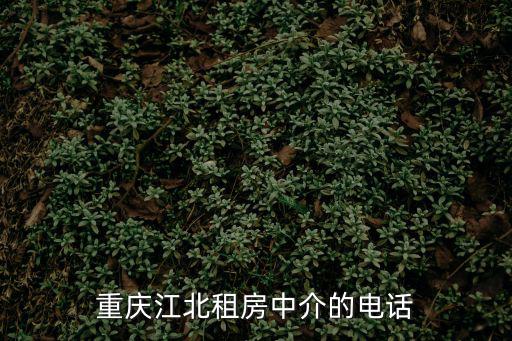 重慶市愛城地產經紀有限公司，重慶二手房中介公司加盟那一家比較好