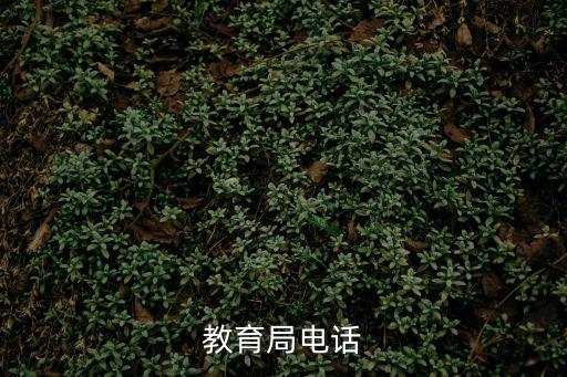 教育局電話