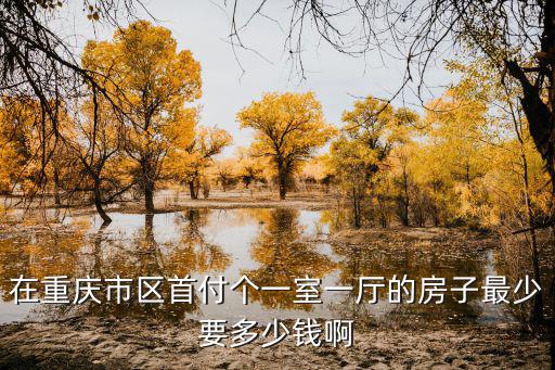 在重慶市區首付個一室一廳的房子最少要多少錢啊