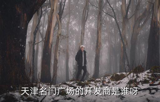 天津名門廣場的開發商是誰呀